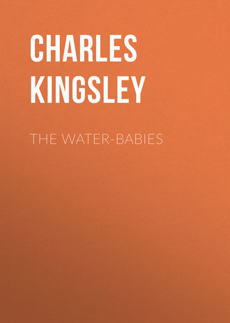 Обложка книги «The Water-Babies»