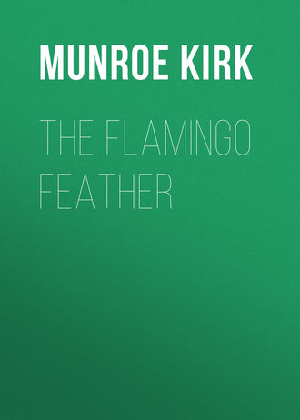 Обложка книги «The Flamingo Feather»