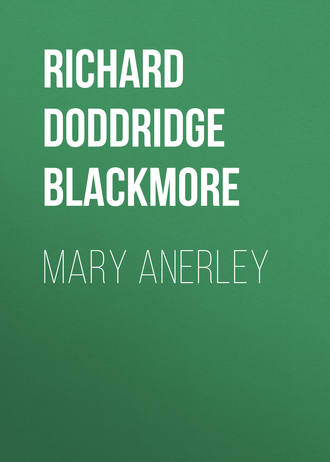 Обложка книги «Mary Anerley»