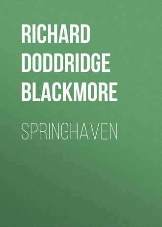 Обложка книги «Springhaven»
