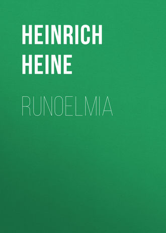 Обложка книги «Runoelmia»