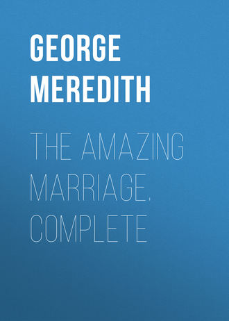 Обложка книги «The Amazing Marriage. Complete»