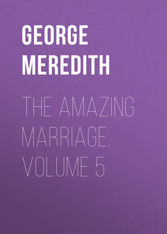Обложка книги «The Amazing Marriage. Volume 5»