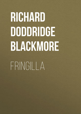 Обложка книги «Fringilla»