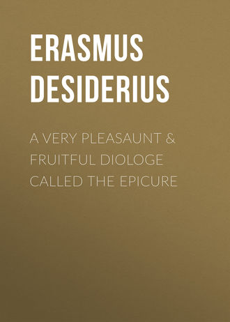 Обложка книги «A Very Pleasaunt & Fruitful Diologe Called the Epicure»