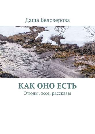 Даша Белозерова. Как оно есть. Этюды, эссе, рассказы