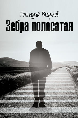 Обложка книги «Зебра полосатая. На переломах судьбы»