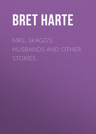 Обложка книги «Mrs. Skagg's Husbands and Other Stories»