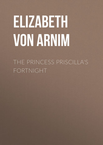 Обложка книги «The Princess Priscilla's Fortnight»