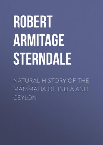 Robert Armitage Sterndale. Natural History of the Mammalia of India and Ceylon