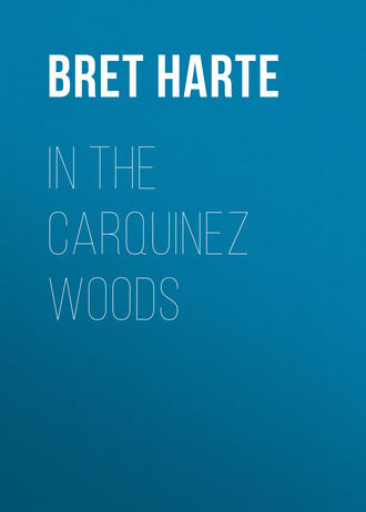 Обложка книги «In the Carquinez Woods»