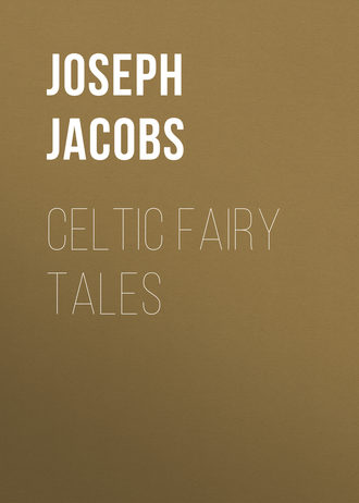 Обложка книги «Celtic Fairy Tales»