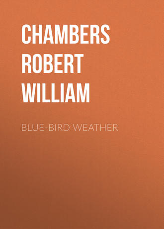Обложка книги «Blue-Bird Weather»