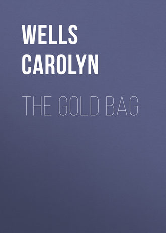Обложка книги «The Gold Bag»