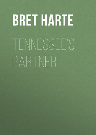 Обложка книги «Tennessee's Partner»