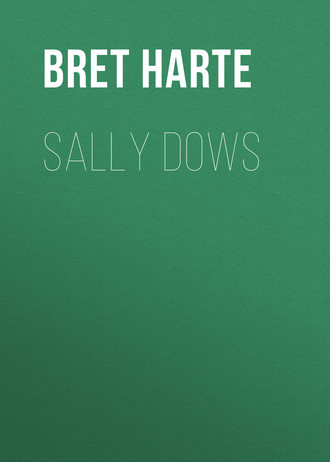Обложка книги «Sally Dows»