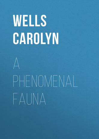 Обложка книги «A Phenomenal Fauna»