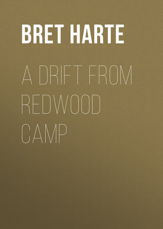 Обложка книги «A Drift from Redwood Camp»