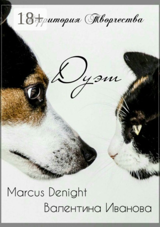 Обложка книги «Дуэт. Marcus Denight & Валентина Иванова»