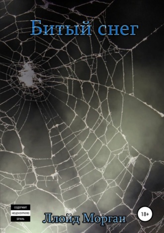 Обложка книги «Битый снег»