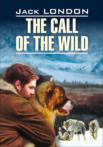 Джек Лондон. The Call of the Wild / Зов предков. Книга для чтения на английском языке