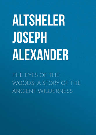 Обложка книги «The Eyes of the Woods: A Story of the Ancient Wilderness»