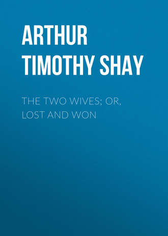 Обложка книги «The Two Wives; Or, Lost and Won»