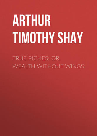 Обложка книги «True Riches; Or, Wealth Without Wings»