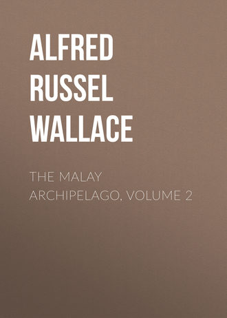 Обложка книги «The Malay Archipelago, Volume 2»