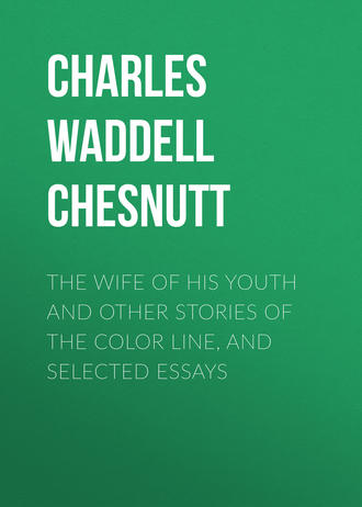 Обложка книги «The Wife of his Youth and Other Stories of the Color Line, and Selected Essays»