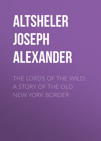 Обложка книги «The Lords of the Wild: A Story of the Old New York Border»