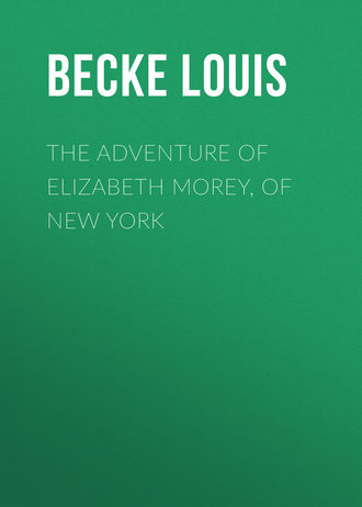 Обложка книги «The Adventure Of Elizabeth Morey, of New York»