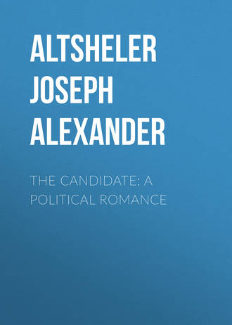 Обложка книги «The Candidate: A Political Romance»