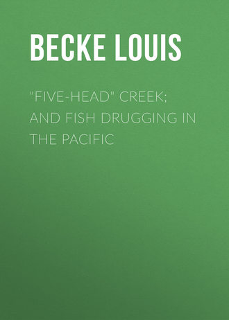 Обложка книги «"Five-Head" Creek; and Fish Drugging In The Pacific»