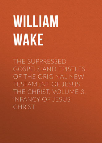 Обложка книги «The suppressed Gospels and Epistles of the original New Testament of Jesus the Christ, Volume 3, Infancy of Jesus Christ»