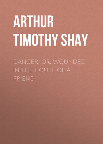 Обложка книги «Danger; Or, Wounded in the House of a Friend»