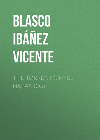 Обложка книги «The Torrent (Entre Naranjos)»