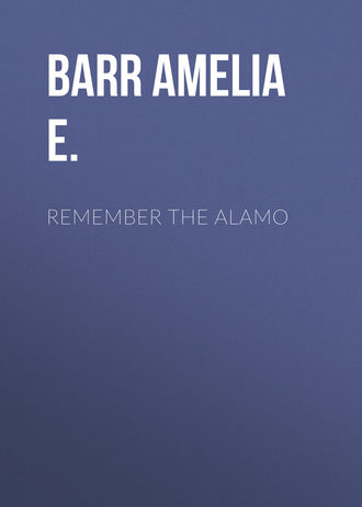 Обложка книги «Remember the Alamo»