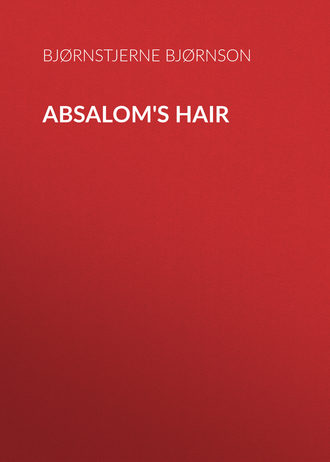 Обложка книги «Absalom's Hair»