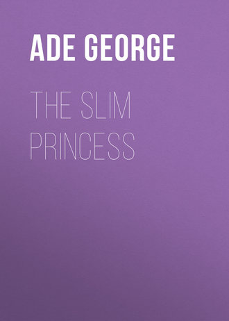 Обложка книги «The Slim Princess»