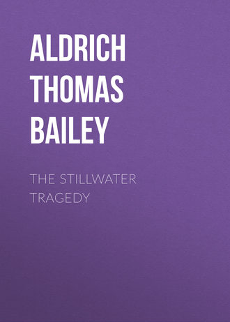 Обложка книги «The Stillwater Tragedy»