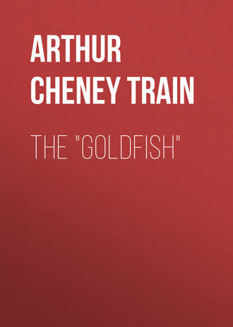 Обложка книги «The "Goldfish"»