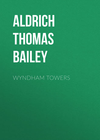 Обложка книги «Wyndham Towers»