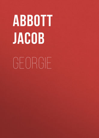 Обложка книги «Georgie»