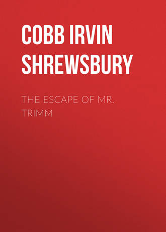 Cobb Irvin Shrewsbury. The Escape of Mr. Trimm