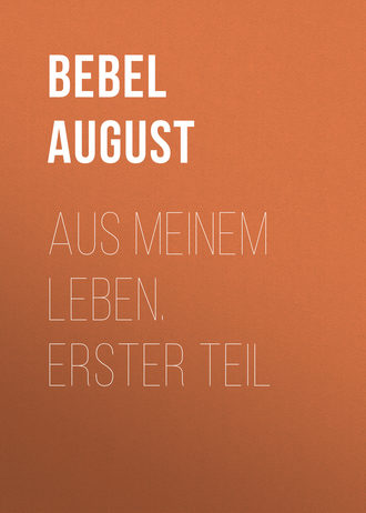 Bebel August. Aus meinem Leben.  Erster Teil