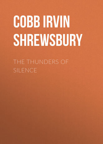 Обложка книги «The Thunders of Silence»
