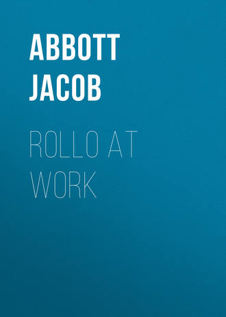 Обложка книги «Rollo at Work»