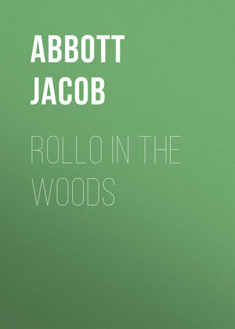 Обложка книги «Rollo in the Woods»