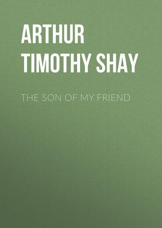 Обложка книги «The Son of My Friend»